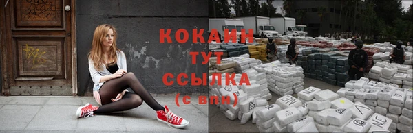 крисы Вязьма