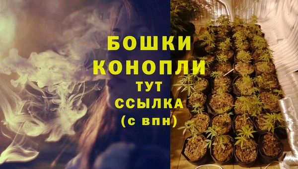 ECSTASY Вязники