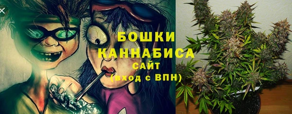 крисы Вязьма