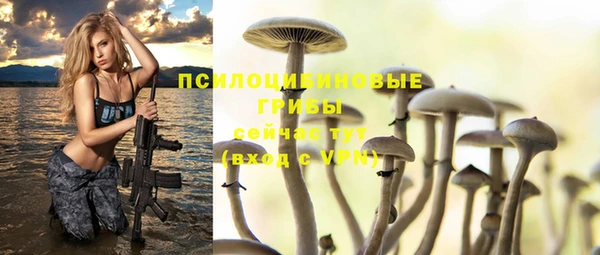 ECSTASY Вязники