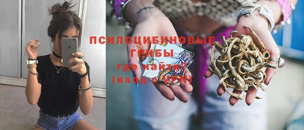 крисы Вязьма