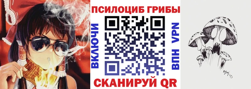 Псилоцибиновые грибы мицелий  Ершов 