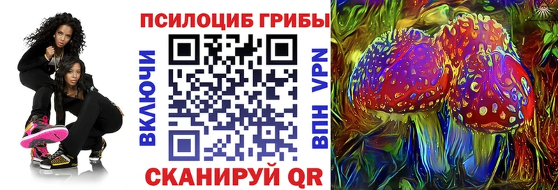 Псилоцибиновые грибы мухоморы Ершов