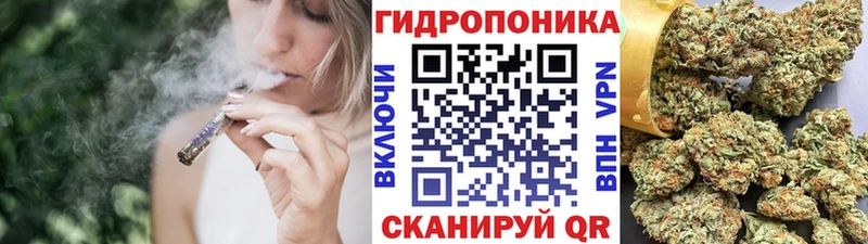 darknet наркотические препараты  Ершов  Шишки марихуана ГИДРОПОН  наркота 